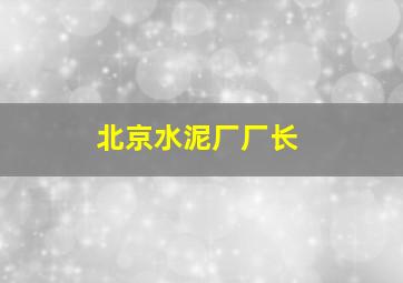 北京水泥厂厂长