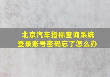 北京汽车指标查询系统登录账号密码忘了怎么办