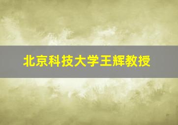 北京科技大学王辉教授