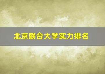 北京联合大学实力排名