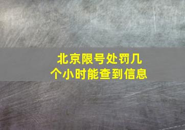 北京限号处罚几个小时能查到信息