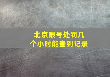 北京限号处罚几个小时能查到记录