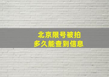 北京限号被拍多久能查到信息