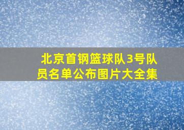 北京首钢篮球队3号队员名单公布图片大全集