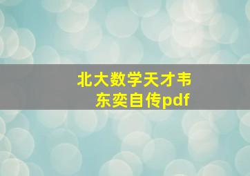 北大数学天才韦东奕自传pdf