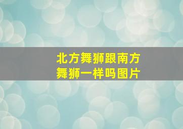 北方舞狮跟南方舞狮一样吗图片