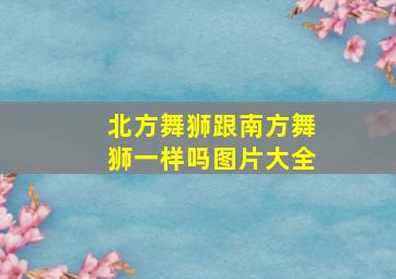 北方舞狮跟南方舞狮一样吗图片大全