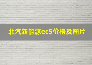 北汽新能源ec5价格及图片