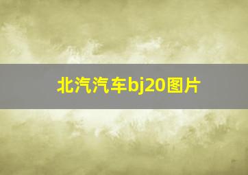 北汽汽车bj20图片