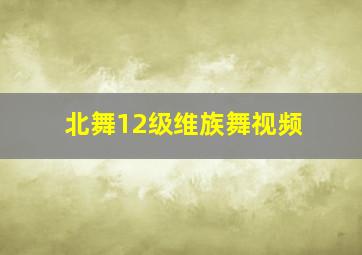 北舞12级维族舞视频