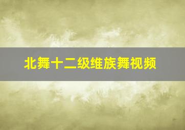 北舞十二级维族舞视频