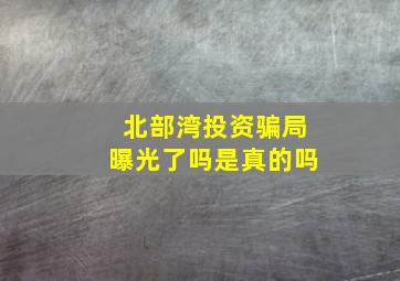 北部湾投资骗局曝光了吗是真的吗