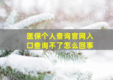 医保个人查询官网入口查询不了怎么回事