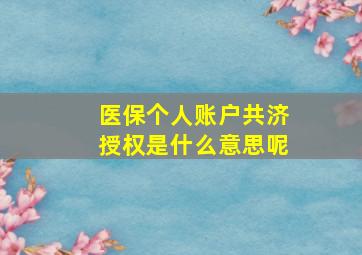 医保个人账户共济授权是什么意思呢