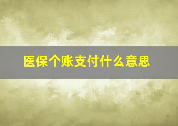 医保个账支付什么意思