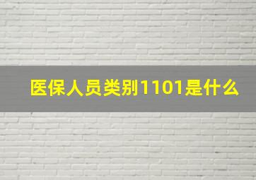 医保人员类别1101是什么