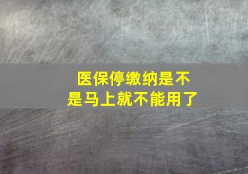 医保停缴纳是不是马上就不能用了