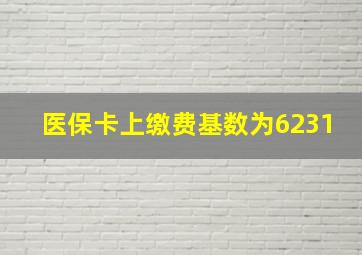 医保卡上缴费基数为6231