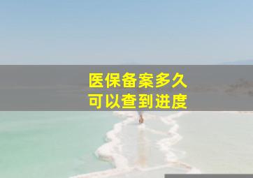 医保备案多久可以查到进度