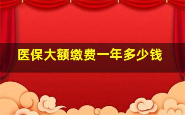 医保大额缴费一年多少钱