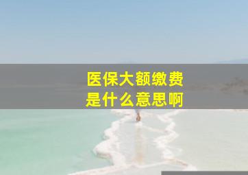 医保大额缴费是什么意思啊