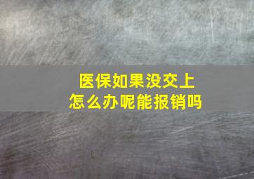 医保如果没交上怎么办呢能报销吗