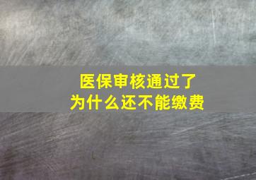 医保审核通过了为什么还不能缴费