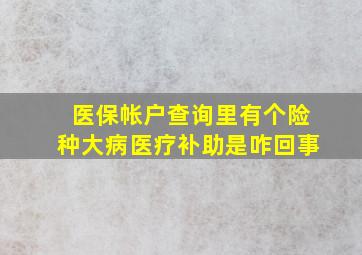 医保帐户查询里有个险种大病医疗补助是咋回事