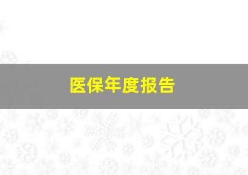 医保年度报告