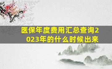 医保年度费用汇总查询2023年的什么时候出来