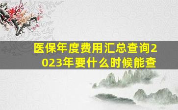 医保年度费用汇总查询2023年要什么时候能查