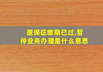 医保征缴期已过,暂停业务办理是什么意思