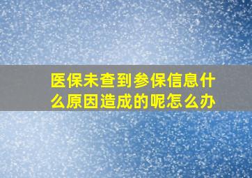 医保未查到参保信息什么原因造成的呢怎么办