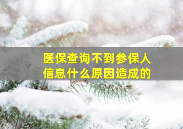 医保查询不到参保人信息什么原因造成的