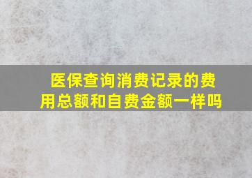 医保查询消费记录的费用总额和自费金额一样吗