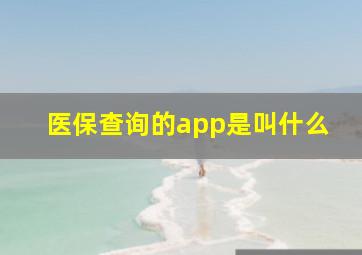 医保查询的app是叫什么