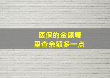 医保的金额哪里查余额多一点