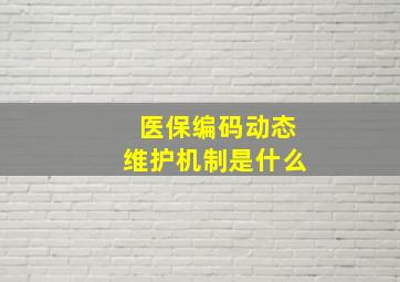 医保编码动态维护机制是什么