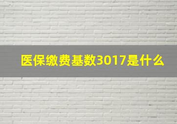 医保缴费基数3017是什么