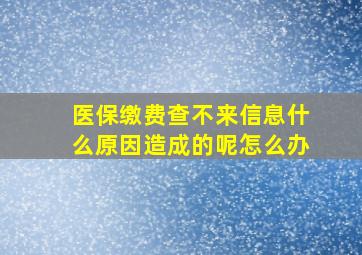 医保缴费查不来信息什么原因造成的呢怎么办