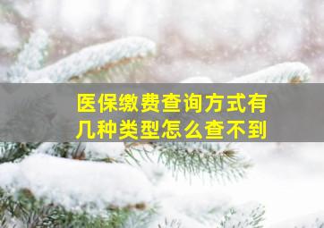 医保缴费查询方式有几种类型怎么查不到