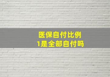 医保自付比例1是全部自付吗