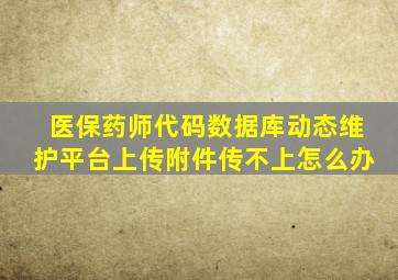 医保药师代码数据库动态维护平台上传附件传不上怎么办