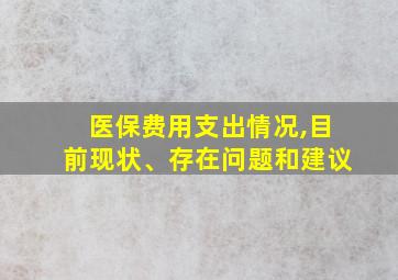 医保费用支出情况,目前现状、存在问题和建议