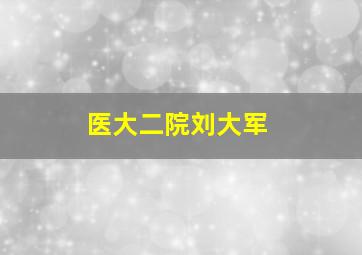 医大二院刘大军