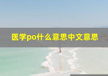 医学po什么意思中文意思