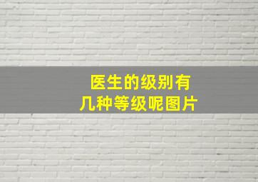 医生的级别有几种等级呢图片