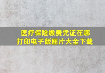 医疗保险缴费凭证在哪打印电子版图片大全下载