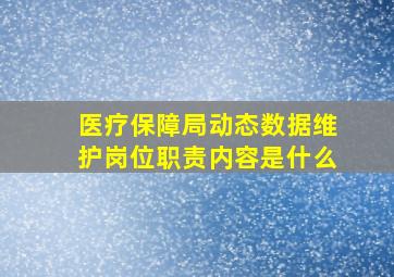 医疗保障局动态数据维护岗位职责内容是什么