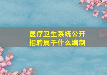 医疗卫生系统公开招聘属于什么编制